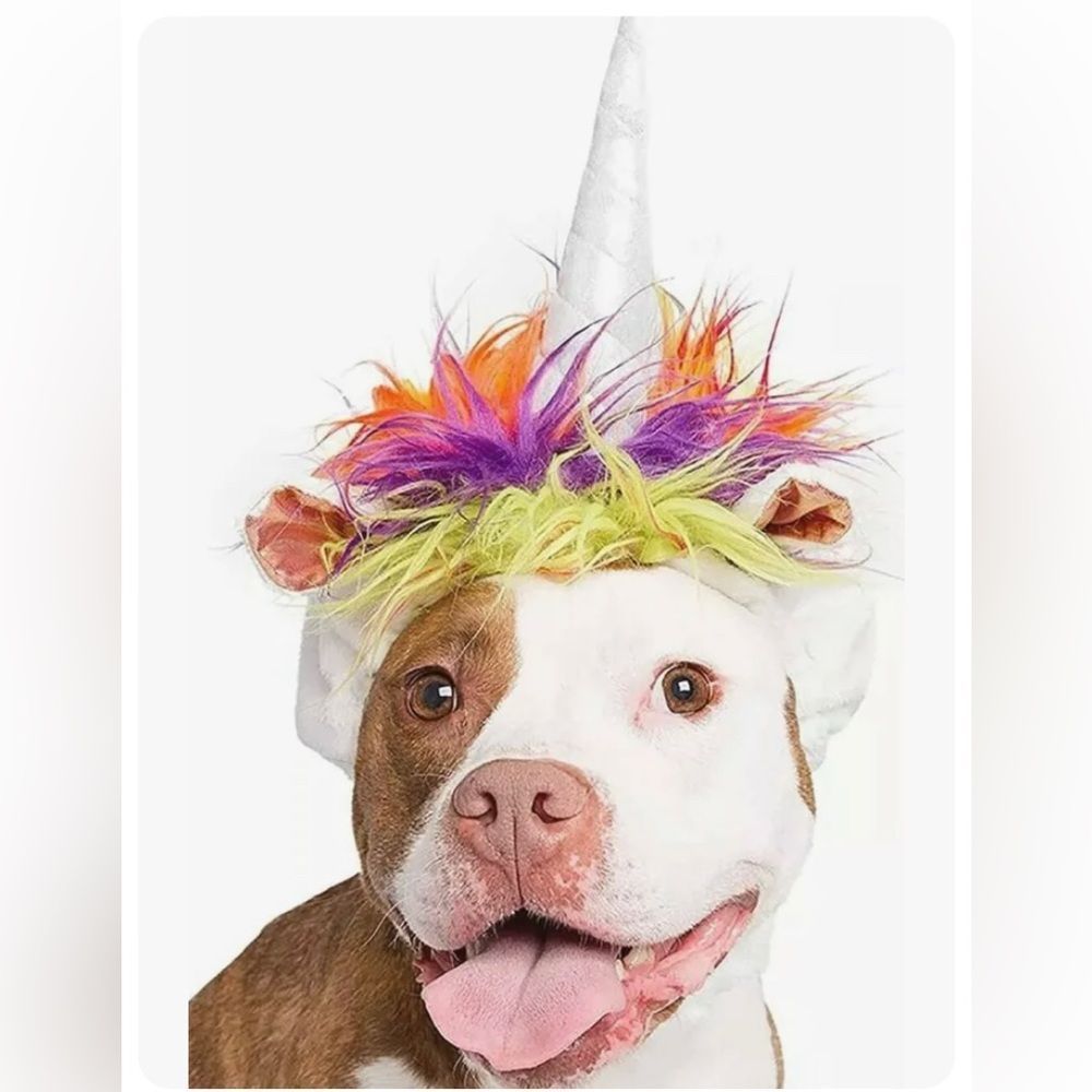 NWT. Pet Krewe “unleash the parade” Unicorn costume